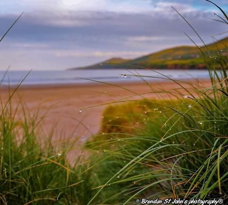 jic membership Image